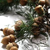 Christmas Acorn Garland