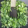 Boxwood Leaf Wreath