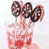 Bite Size Chocolate Spoons