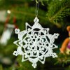 Picot Loops Crochet Snowflake