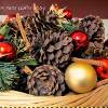 Scented Pinecones For Your Home