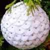 Snow Ball Ornament