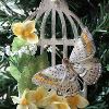 Vintage Bird Cage Ornament