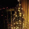 Stick Tree