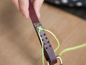 DIY Graphic Leather Dog Leash