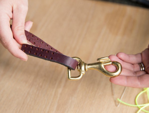 DIY Graphic Leather Dog Leash