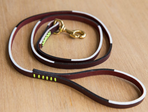 DIY Graphic Leather Dog Leash